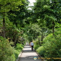 Lush and green pathway of the Promenade Plantée 
